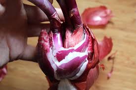 Maybe you would like to learn more about one of these? Planting Sprouted Onions