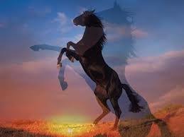images?q=tbn:ANd9GcQ7zjjmefey0WdBhKkosfkGVCXg-oOWZYuqdjfgRzZJ-Q58bU6FLg