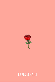 Download the perfect supreme pictures. Wallpaper Rose Gold Supreme Background