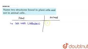 The structures found in a typical cell for both plant and animal cell includes:the cell wallthe cell membranethe nucleusthe vacoule. Name Two Structures Forund In Plant Cells And Not In Animal Cells Youtube