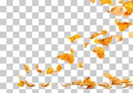 Falling Autumn Leaves Png Images Falling Autumn Leaves Clipart Free Download Free leaf transparent png images. falling autumn leaves png images