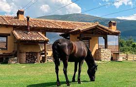 We did not find results for: Granja El Enebral Mudakids Com