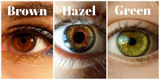 Her eyes were a tawny brown; What Is The Best Hair Color For Hazel Eyes Hair Adviser