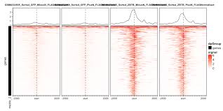 Image result for bioinformatics heatmap