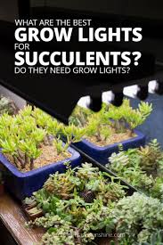 Although sunlight is a primary need of garden plants, sometimes grow lights provide the better option when growing the plants indoors. Choosing The Right Grow Light Do You Need A Grow Light Best Grow Lights Succulents Growing Succulents