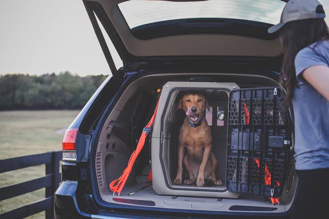 Heavy-duty transport crate anchored in an SUV cargo space., AI generated