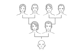 Let's dive into the genetic causes of hair loss and options available to treat it. Hereditary Hair Loss For Men And Women Nordic Hair