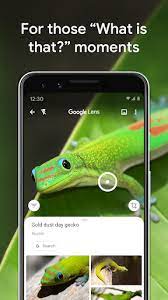 Google lens zostało zaprezentowane w maju zeszłego roku na google io. Obiektyw Google Aplikacje W Google Play