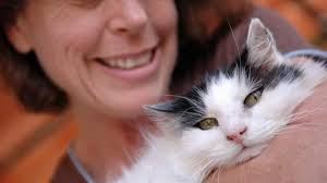 Cat Sounds Like a Bird