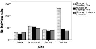 Image result for Pouteria adolfi-friederici