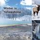 Winter in Yellowstone- Chautauqua Travels event image