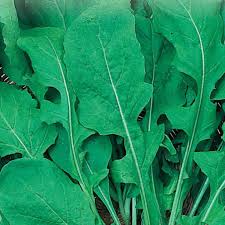 The slightly spicy, delicious green comes with a bonus in that arugula flowers are beautiful and edible. Organic Arugula Seeds Roquette Mckenzie Seeds