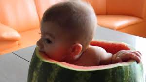 We did not find results for: Baby Sits In Watermelon And Eats It Jukin Media Inc