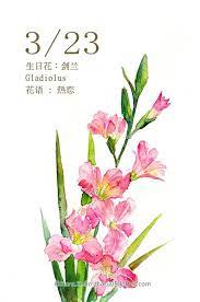每日一花3 23 生日花 haru hello floral watercolor watercolor flowers flower painting