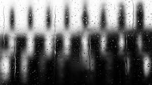Black And White Background Images Free Download Black And White Raindrop Background Image Background Images Splash Images Black And White Background