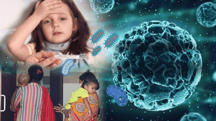 ચાંદીપુરા વાયરસથી હાહાકાર! રાજ્યમાં સર્વેલેન્સની કામગીરી હાથ ધરાઈ - CHANDIPuRA  VIRUS 2024