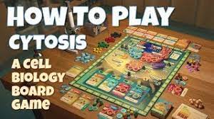 So, for convenience the game allows you to move n+1 cards together, where n is the number of free cells. How To Play Cytosis A Cell Biology Board Game By John Coveyou Youtube