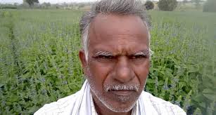 Chia Seeds Earn Bumper Incomes For Mysuru Farmers Village Square The cultivation costs of chia is a couple of hundred whereas the yields are 3 quintals an acre for the white variety and about 5 quintals for the black it promotes cultivation of chia, with a buyback offer.