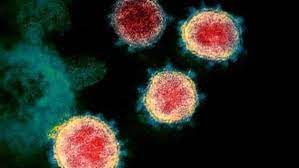 Public health england has said that. New Covid 19 Variant Delta Plus Is Resistant To Antibody Cocktail Treatment