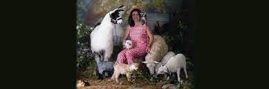 Check spelling or type a new query. Marsha S Petting Zoo For The Smile Of A Child