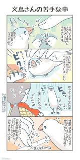 鳥 おしゃれまとめの人気アイデア pinterest okazu 生き物 イラスト 動物 図鑑 鳥 絵