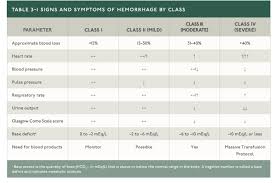 Image result for Hemorrhage Classification