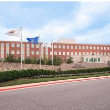 Image result for Disa eminii