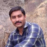 PDF) Study of Butterflies from outskirts of Mandev Forest U