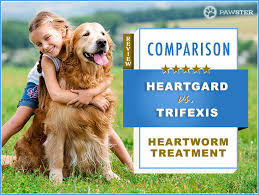 Heartgard Vs Trifexis Comparison And Key Differences