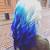 Dark Blue And White Hair