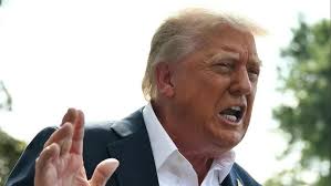 How to Protect Your Plants from Dangerous Sun & Rain ⚡️🥀🪴 #gardening101  #gardening #gardenhacks