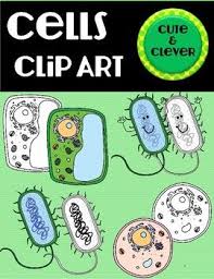 We did not find results for: This Clip Art Set Includes Both Color Representations As Well As Black And White Versions Of Each Design This Includes An Animal Cell Pl Clip Art Art Art Set