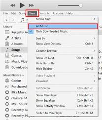 You can listen to your favorite music anytime. Itunes Show Or Hide Icloud Music