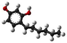 4-Hexylresorcinol - Wikipedia
