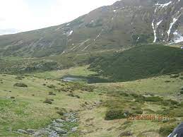 And might not have gotten it at all. Alcatuiti Propozitii Cu Defel De Fel Demult De Mult Departe De Parte Cuminte Cu Minte Niciodata Nici Brainly Ro