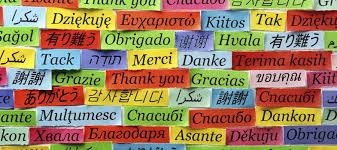 Contdict.com > indonesian italian online translator. Do Certified German To English Translation Or Vice Versa By Translationpoin Fiverr