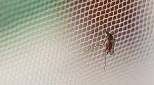 No See Um Repellents That Work Mosquitofixes