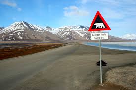 Jan mayen was not occupied during the world war ii, and remained as «free norway». Svalbard Wikipedia