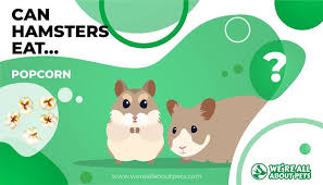 What can cats eat as well as dogs? Can Hamsters Eat Mushrooms 2021 We Re All About Pets