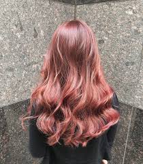 new the 10 best hairstyle ideas today with pictures 特殊色系粉粉灰紫搭配米橘系列搭配就算褪色過後依然可以說奶茶粉色 jeff作品集 設計師jeff