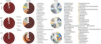 Doughnut Chart Representing The Distribution Of Domain