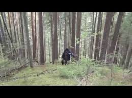 песня а я еду а я еду за туманом O Mityaev A Ya Edu Za Dengami Youtube