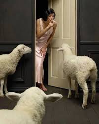 Sometimes I Ll Fight Off Sleep Because I Just Want To Finish One More Chapter Long After Everyone Else Has Gone Surrealism Photography Sheep Sheep And Lamb