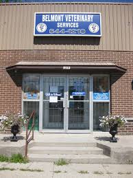 Maybe you would like to learn more about one of these? Belmont Veterinary Services Home Facebook