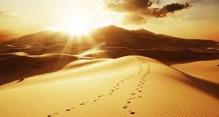 We did not find results for: 7 Sunnah Harian Rasulullah Saw Islampos