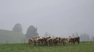 Wetter - Wetterumschwung in Bayern: Herbst bringt Regen und Kälte - Bayern - SZ.de — SZ.de