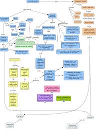Lymphatic And Immune System Map On Meducation Lymphatic System Anatomy Lymphatic System Lymphatic
