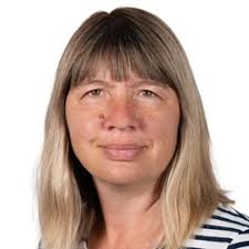 Professionelle IT Dienstleistungen