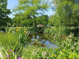 Botanischer garten augsburg ab 31.10.2020 vorerst geschlossen! Botanischer Garten Augsburg Picture Of Botanischer Garten Augsburg Tripadvisor