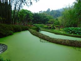 Ecolodge Pan Hou Ha Giang